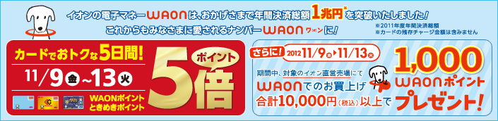 イオン2012年11月キャンペーン
